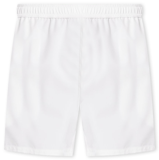 DSG Men's 2-in-1 Agility Shorts