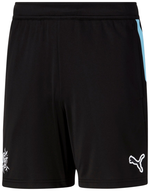 PUMA x CHRISTIAN PULISIC Big Kids' Shorts