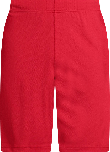 Men's Mesh Gym Shorts