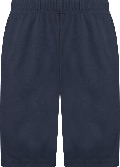 Men's Mesh Gym Shorts
