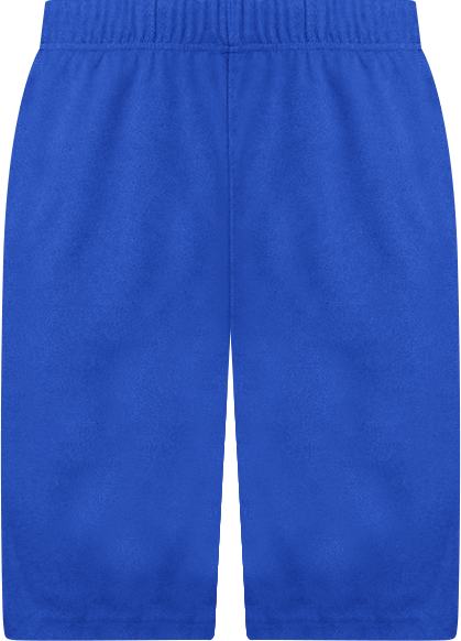 Men's Mesh Gym Shorts