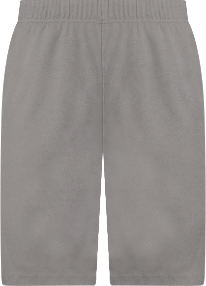 Men's Mesh Gym Shorts