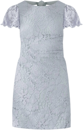 Free People Hailee Lace Mini Dress | Belk