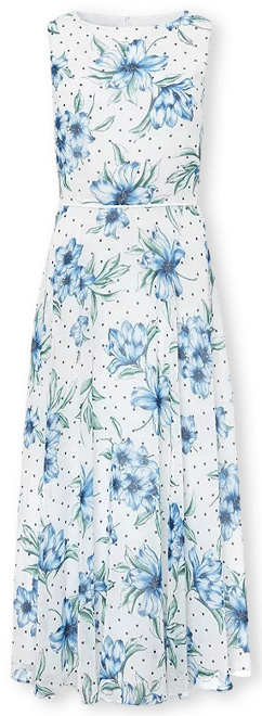 HOBBS LONDON Carly Floral Midi Dress | Bloomingdale's