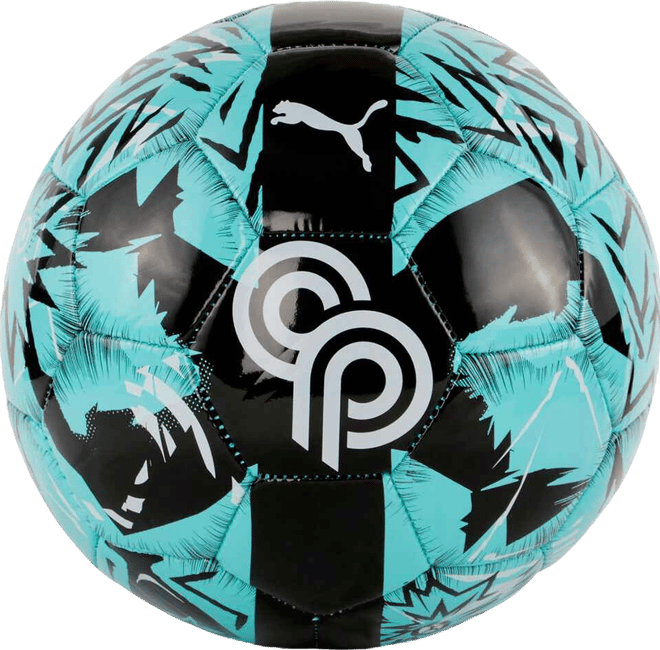PUMA x CHRISTIAN PULISIC Soccer Ball