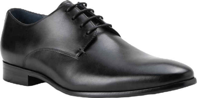 Men's Fairfax Dress Lace-Up Plain Toe Derby Leather Shoes
