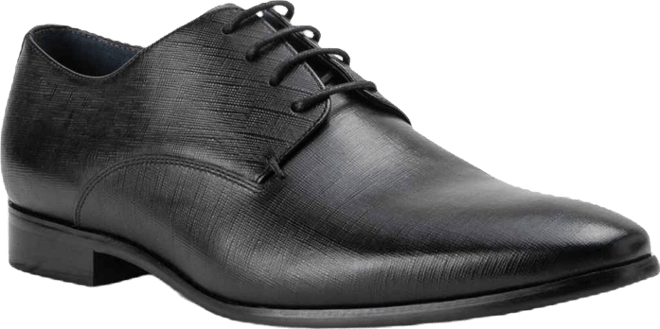 Men's Fairfax Dress Lace-Up Plain Toe Derby Leather Shoes