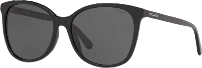 Women's Sunglasses, L1101