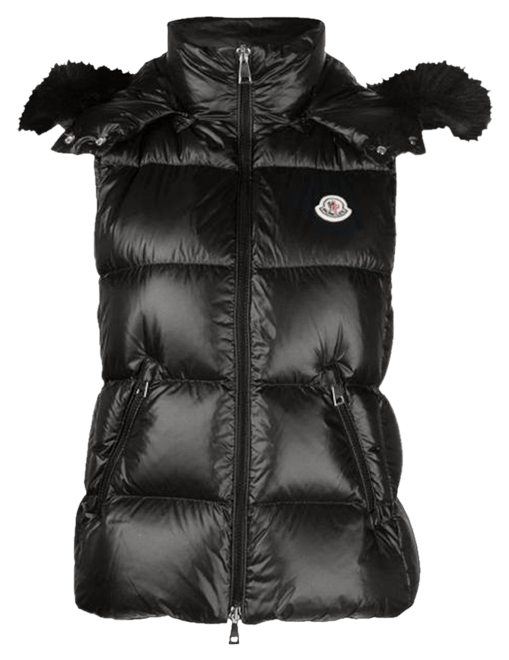 Moncler best sale gallinule vest