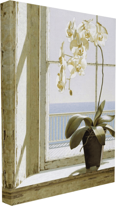 Giant Art Canvas 30x40 White Orchid III Framed in White 
