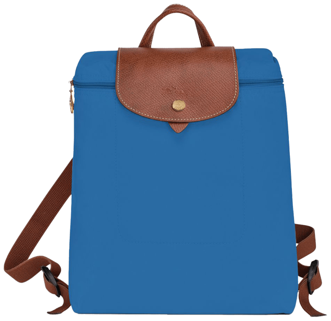 Longchamp discount backpack original