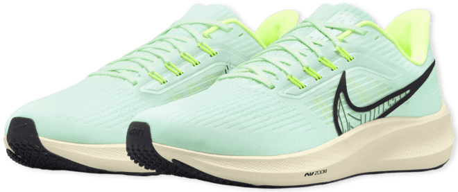 Nike Pegasus 39 男款路跑鞋