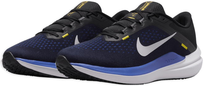 Nike Winflo 10 Men's Road Running Shoes