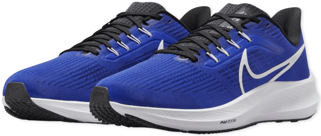 Nike Pegasus 39 Men's Road Running Shoes