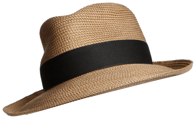 Eric javits best sale squishee fedora