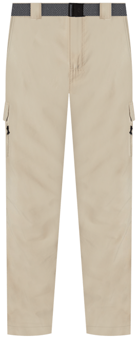Men's Silver Ridge™ Utility Pants