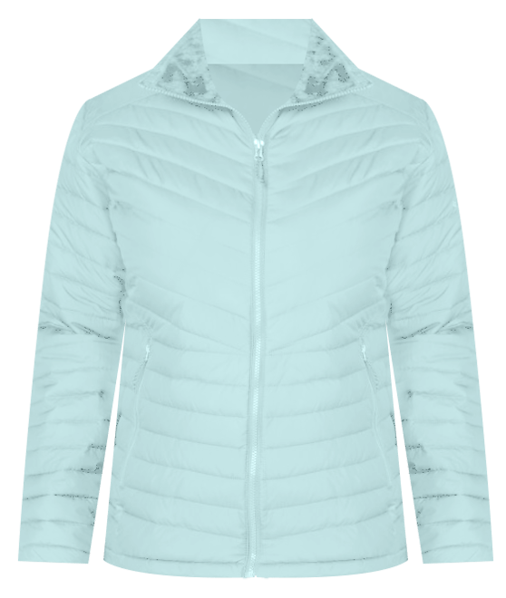 Women's Glacial™ IV Half Zip Fleece