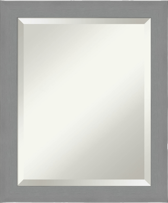 Brushed Framed Bathroom Vanity Wall Mirror, 19.5" x 23.50"