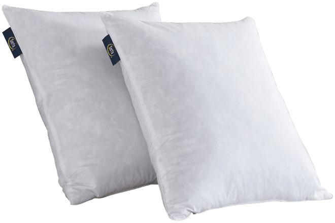 Feather Filled 2-Pack Pillow Inserts, 20" x 20"