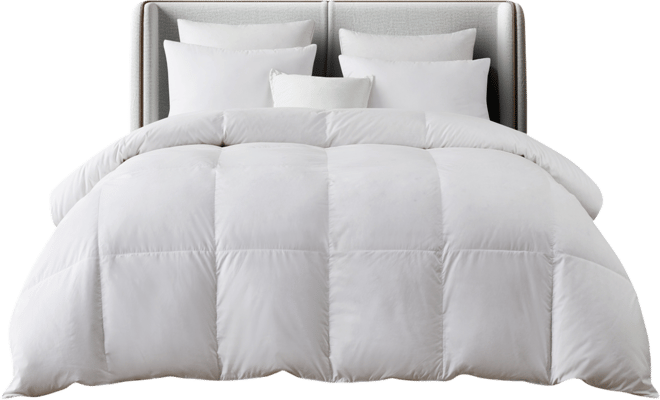 European White Down & Feather All Season Comforter, King