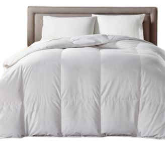 Charter Club Medium Firm Standard / Queen White Down Pillow