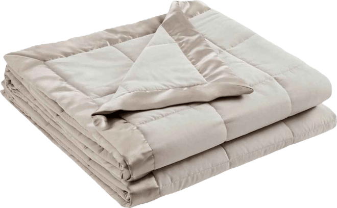 Windom Lightweight Down Alternative Satin Trim Blanket, King