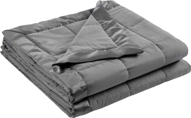 Windom Lightweight Down Alternative Satin Trim Blanket, Twin