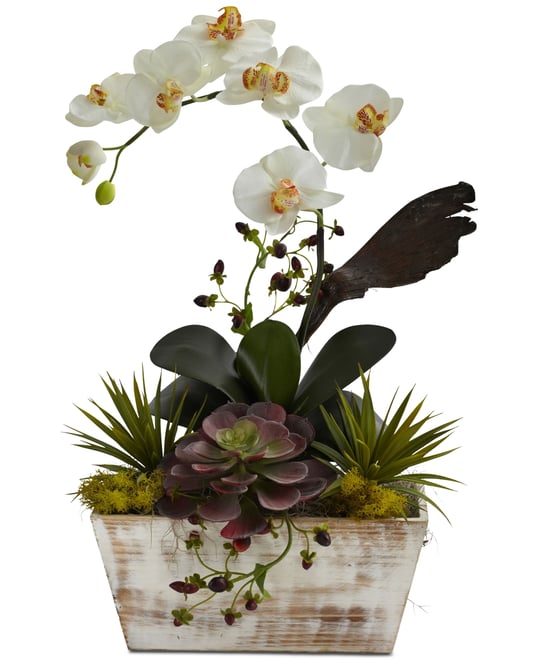 Orchid & Artificial Succulent Garden with White-Washed Planter