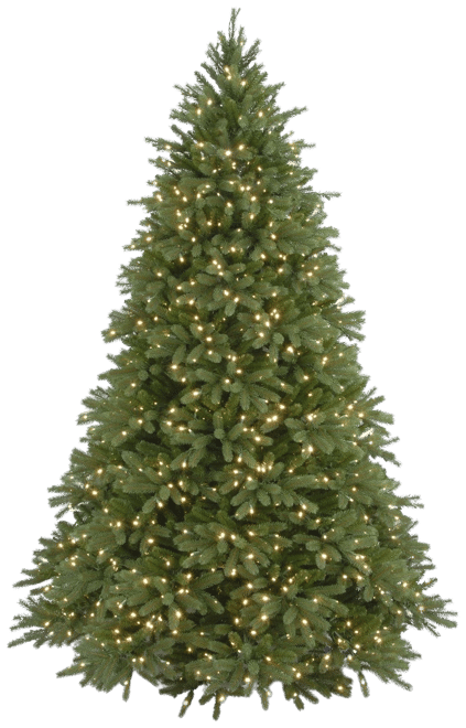 7.5' "Feel Real" Jersey Fraser Fir Hinged Tree with 1250 Clear Lights