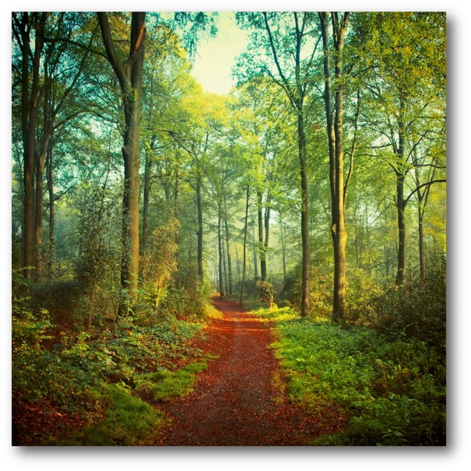 Sunday Morning Walk Gallery-Wrapped Canvas Wall Art