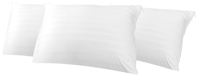 Macys pillows charter club hotsell