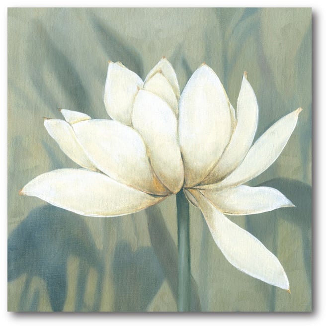 Waterlily Ii Gallery-Wrapped Canvas Wall Art