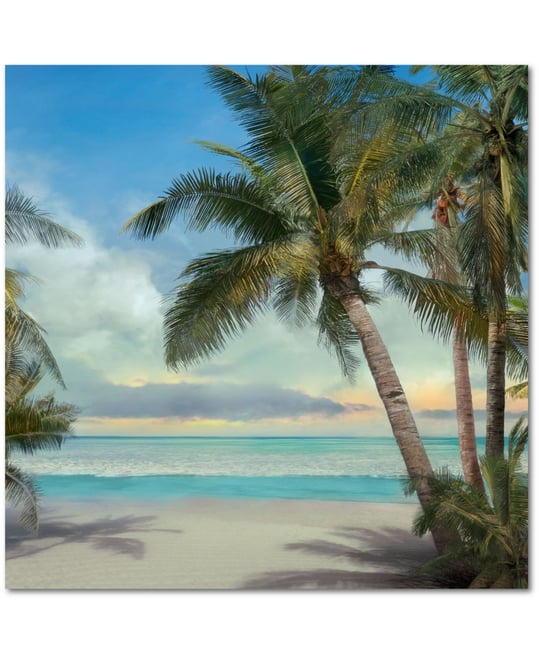 A Found Paradise Ii 24" x 24" Gallery-Wrapped Canvas Wall Art