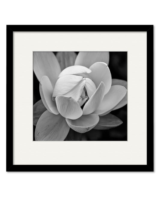 Giardia 16" x 16" Framed and Matted Art