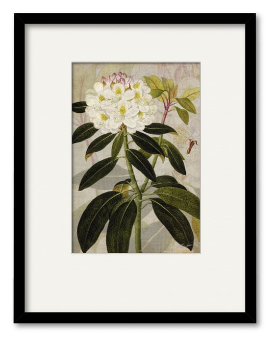 Treasures of The Earth I 16" x 20" Framed and Matted Art