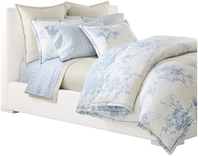 Lauren Ralph Lauren Spencer 300 Thread Count Sateen Border