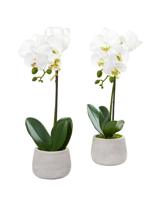 Nearly Natural Phalaenopsis Orchid Artificial Arrangement (Set of 2)