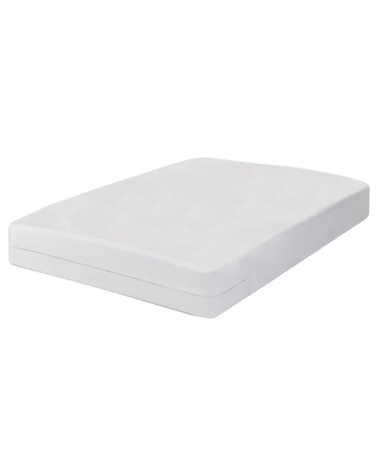 Fresh Ideas  Bed Bug Blocker Zippered Mattress Cover, Queen
