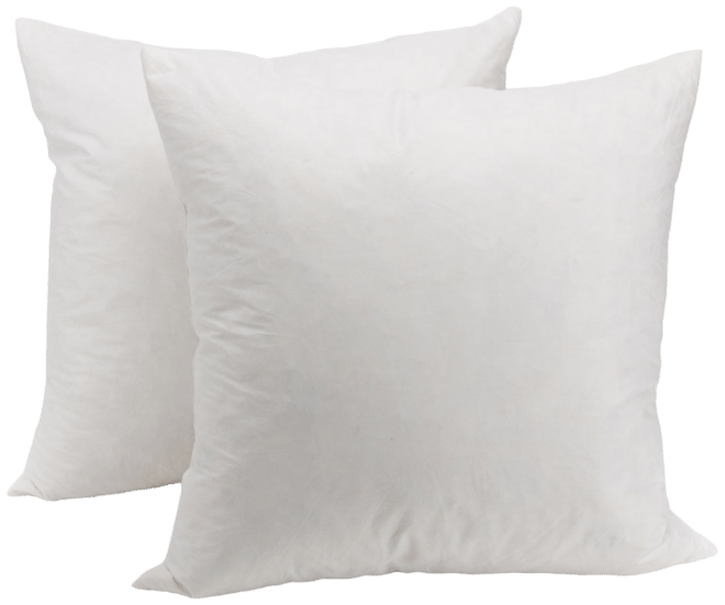 Feather Decorative Pillow, 20" x 20"