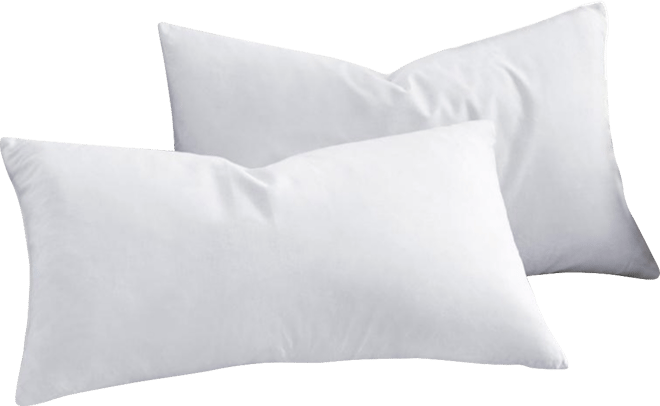 Feather & Down 2-Pack Pillow Inserts, 12" x 20"