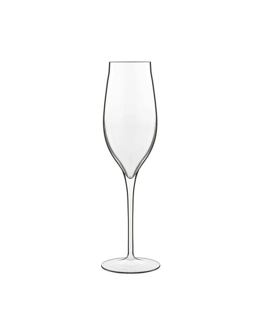 Vinea 6.75 Oz Prosecco Wine Glasses, Set of 2