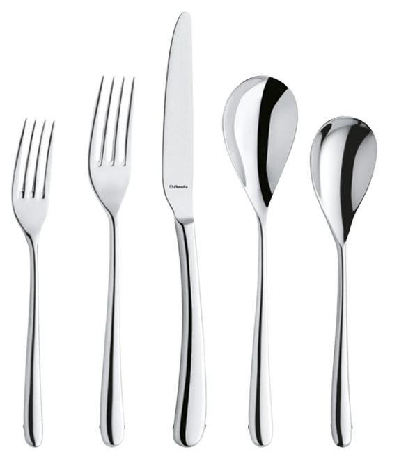 Newton 5 Piece Flatware Set