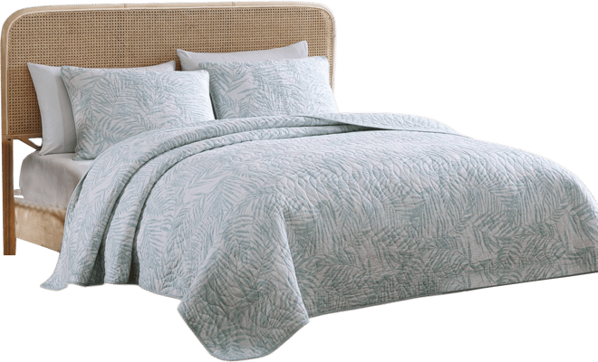 Palmday Cotton Reversible 3 Piece Quilt Set, King