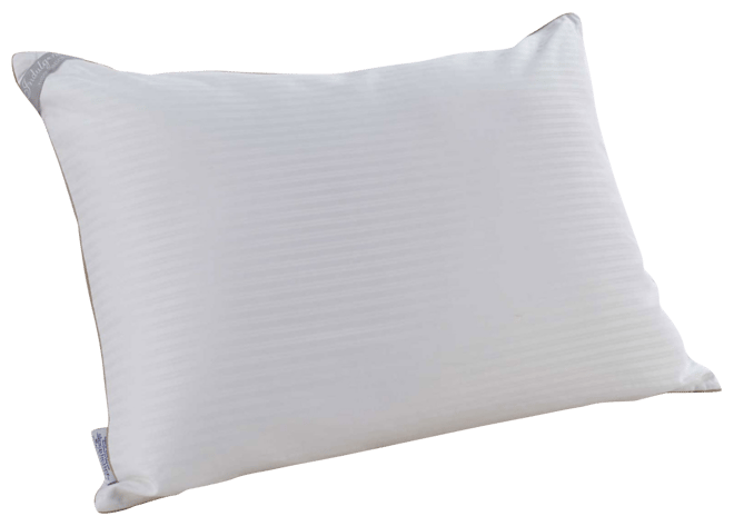 How to wash isotonic indulgence pillow best sale