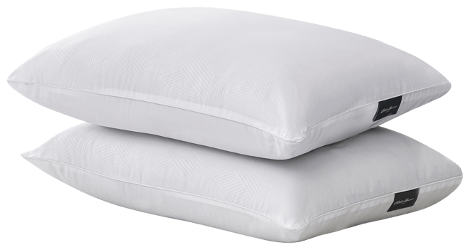 2-Pack Pillow, Jumbo
