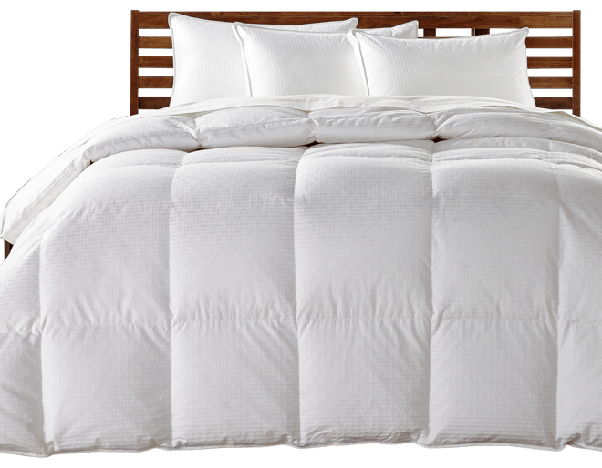 Charter club goose down clearance pillows