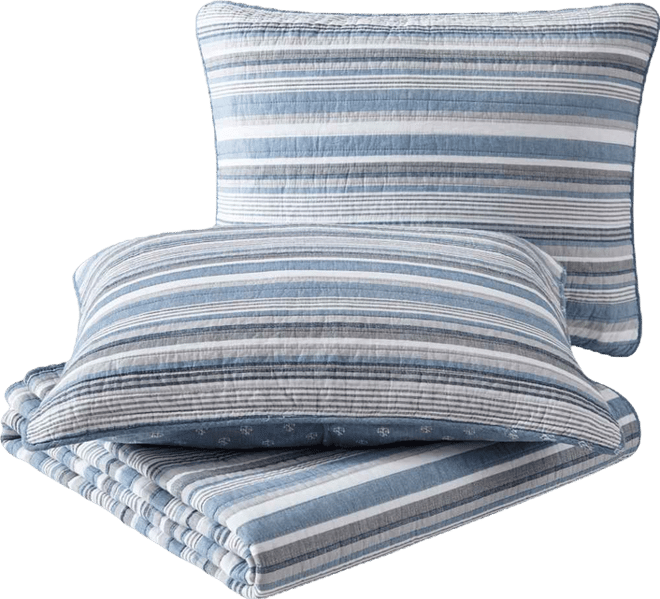 Jettison Cotton Reversible 3-Pc. Quilt Set, King