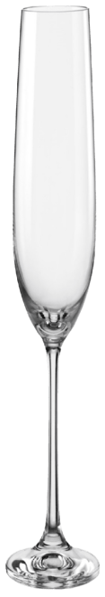 Viola Fluted Champagne Glass 6.5 Oz, Set of 6