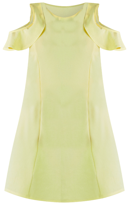 Plus Size Ruffle Cold Shoulder A Line Dress