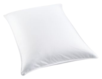 Charter club european white down pillow best sale